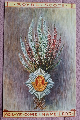 Postcard tucks series - series, 10001