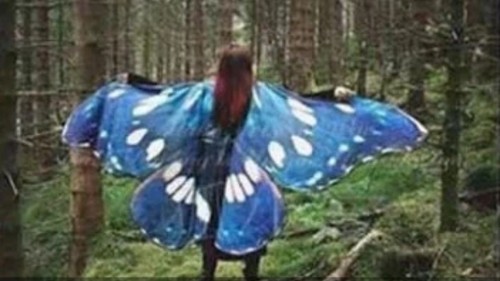 Cosplay butterfly wings cape - cosplay,