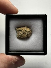 NWA 12241 Martian Shergottite