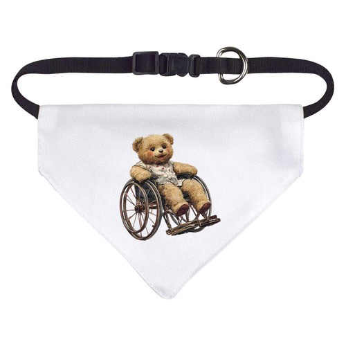 Teddy wheelchair dog - wheelchair',