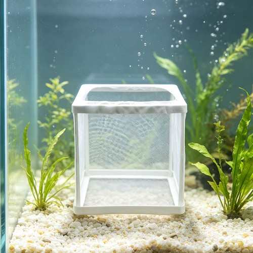 Fish tank isolation net - tank,