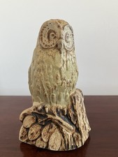Bernard Rooke, Perched Owl.
