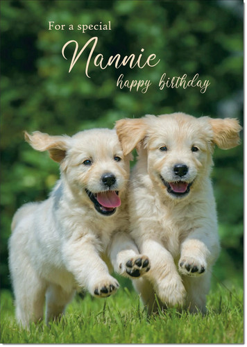 Doodlecards nannie birthday - doodlecards,
