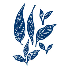 Tattered lace Magnolia Leaves