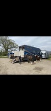 Horse Box 7.5 Tone
