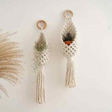 Macrame Plant Hanger Wall