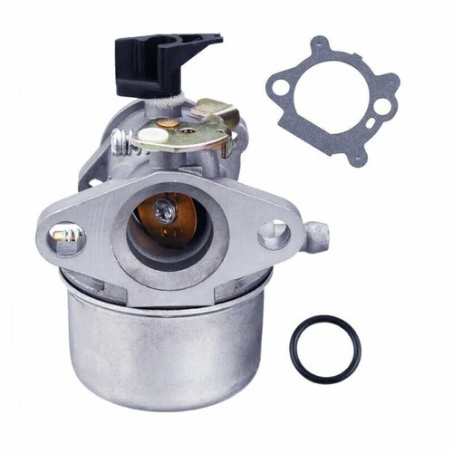 Carburettor for briggs - for, &