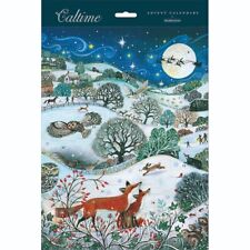 Traditional Advent Calendar Countryside Scene Exclusive - 325mm x 245mm 24 Doors