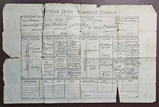 1922 "Our Dogs" Pedigree Form for Airedale Terrier Old Dalby Pride