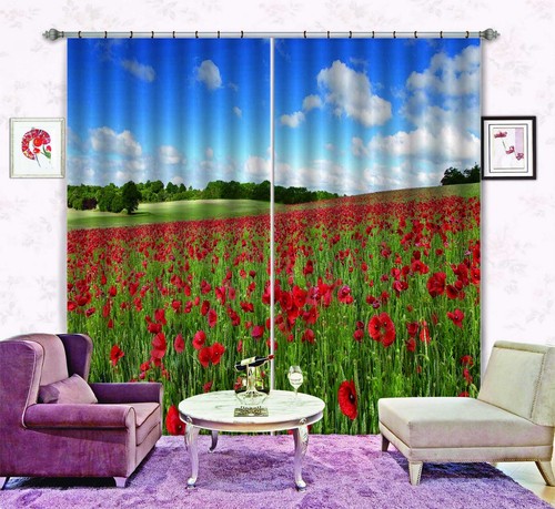 Red poppy garden zhub796 - garden,