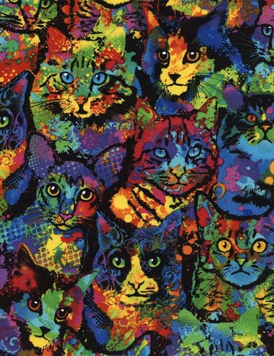 Cat fabric rainbow paint - -,
