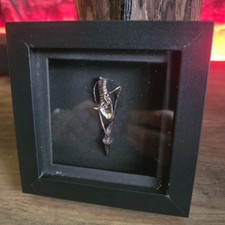 SUPER RARE real Preserved Crow Tongue With Trachea Animal Bones Taxidermy Gothic