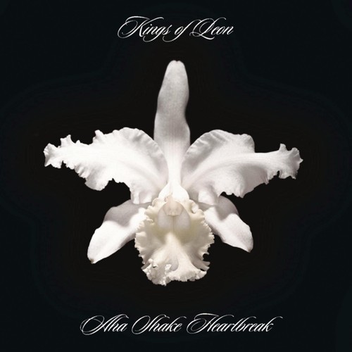 Kings leon aha shake - leon,