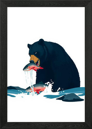 Grizzly bear catching salmon - grizzly,