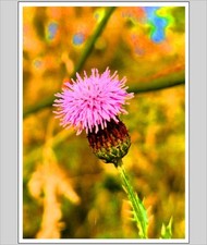 Down By The Riverbank A4 Print