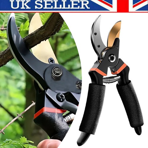 Bypass pruning shears garden - pruning,