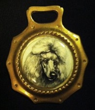 Wonderful VINTAGE POODLE Ceramic Horse Brass England WOW YOUR WALLS!! DOG LOVER 