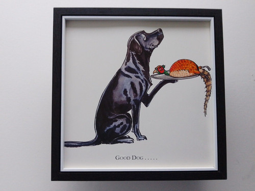 Bryn parry pheasant shooting - parry,
