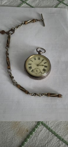 1895 samuel chester silver - 1895,