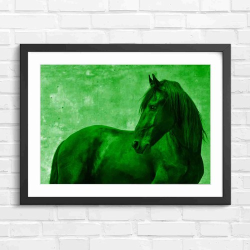 Black friesian horse profile - friesian,