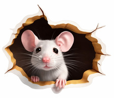 CUTE MOUSE WALL STICKER Funny