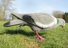 Flocked pigeon decoy - flocked, high