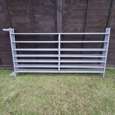 Galvanised Sheep/Lambing