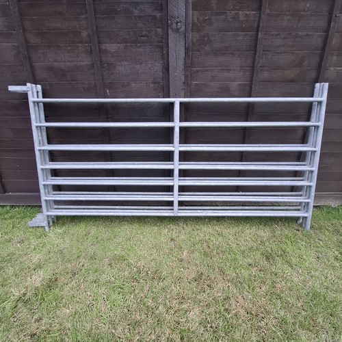 Galvanised sheep lambing - galvanised, sheep/lambing