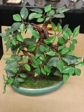 Vintage Imitation Bonsai Tree Oriental Decorative Bonsai Tree