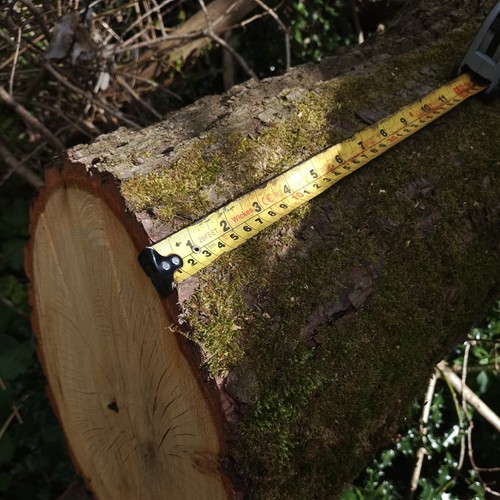 Oak firewood chopping block - firewood,