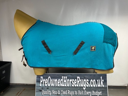 Used derby house horse - 5'9,