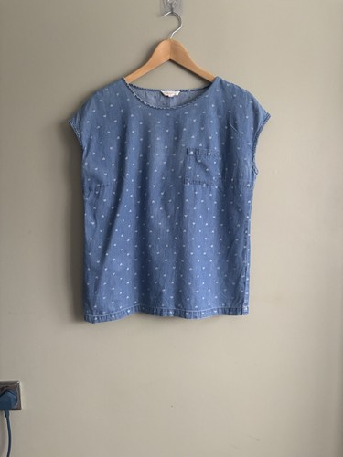 Cambridge dry goods chambray - dry,