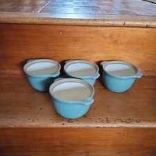 Denby Manor Green Individual
