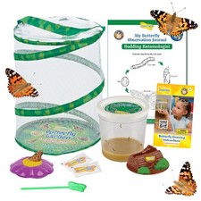 Insect Lore Butterfly Garden