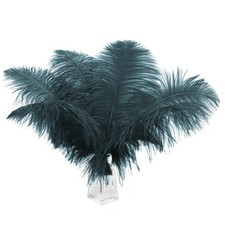 Ballinger Teal Large Ostrich