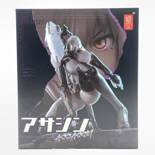Assassin action figure - assassin,