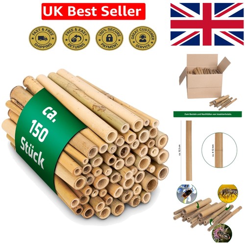 Bamboo tubes pack for - for, bee