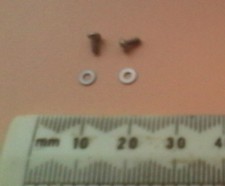 Screw and washer for ferret