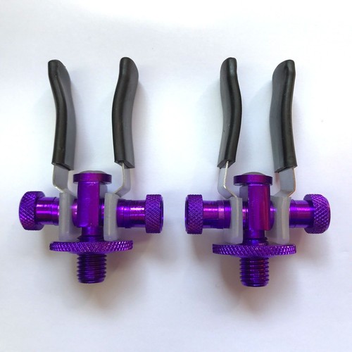 Carp fishing purple - fishing,