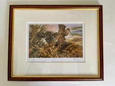 "Water Spaniel Flushing" -