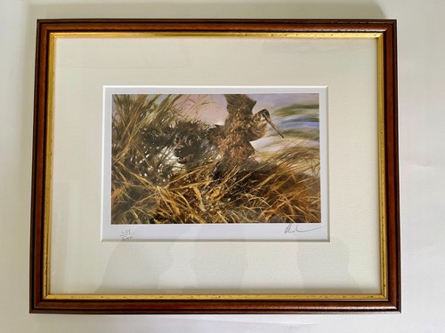 Water spaniel flushing - spaniel,
