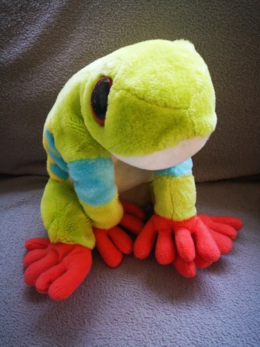 Red eye tree frog plush - frog,