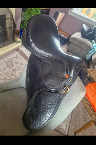 Saddle company black - 16.5',