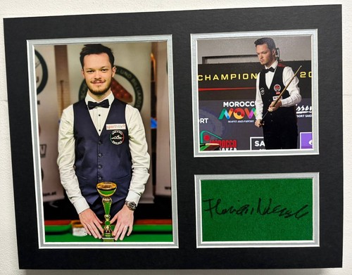 Professional snooker player - professional,