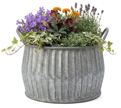 Galvanised planter garden - galvanised,