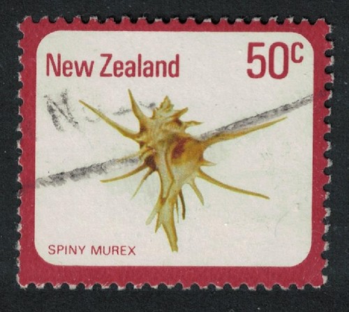 Spiny murex shell - shell, new