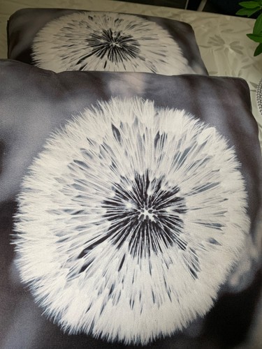 Unusual dandilion cushions - unusual,