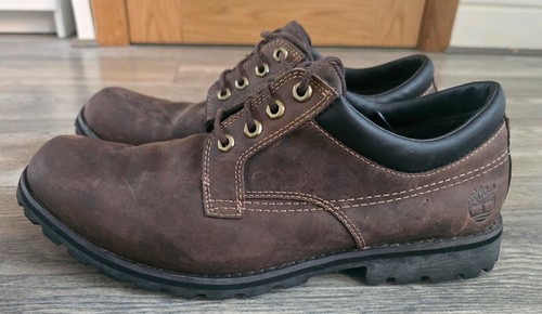 Men timberland earth keepers - men's,