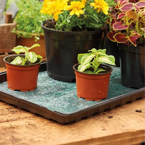 Gardman grow capillary - grow, it