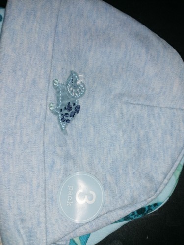 Next dinosaur pack beanie - 3,